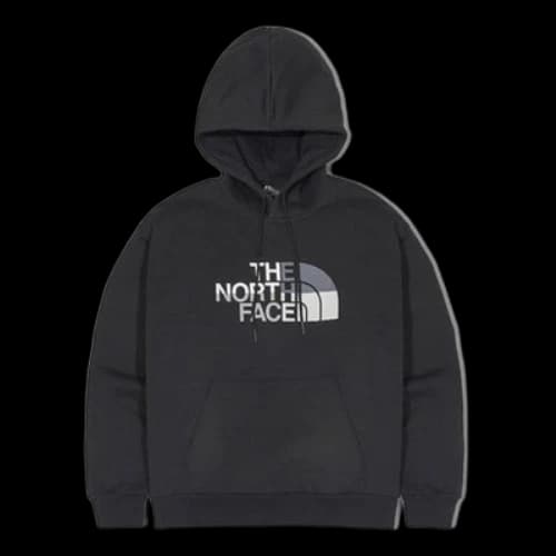 THE NORTH FACE Drew Peak Hoodie 'Black'