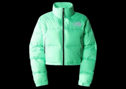 The North Face Women's Nuptse Short Jacket Chlorophyll Green