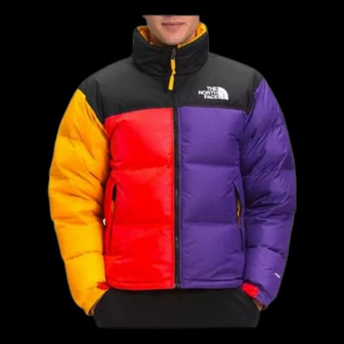 THE NORTH FACE 1996 Retro Blocked Nuptse