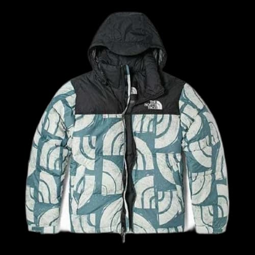 THE NORTH FACE 1996 Retro Nuptse 700