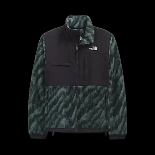 The North Face Print Denali 2 Jacket 'Green'