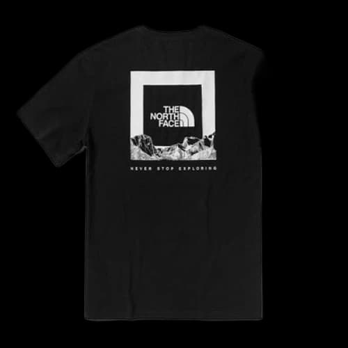 THE NORTH FACE Logo Graphic T-Shirt 'Black'