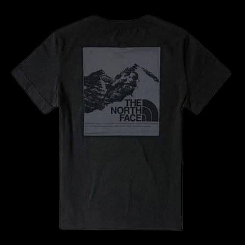 THE NORTH FACE Logo Graphic T-Shirt 'Black'