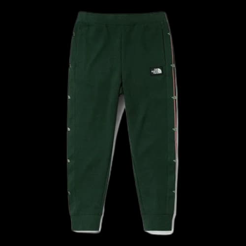 THE NORTH FACE Vanlife Logo Pants 'Olivegreen'