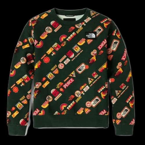 THE NORTH FACE Vanlife Logo Sweater 'Multicolor' (Women's)