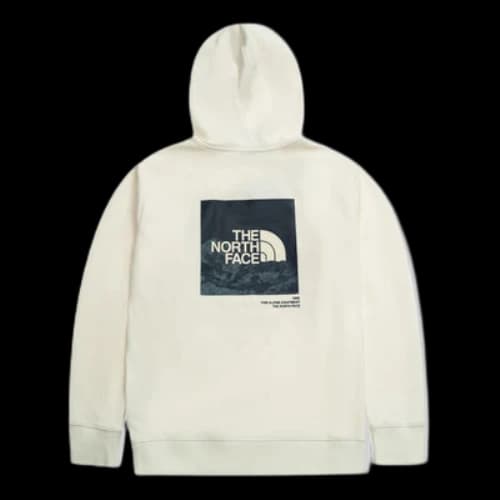 THE NORTH FACE SS22 Logo Hoodie 'White'