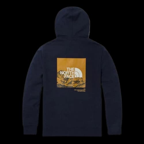 THE NORTH FACE SS22 Logo Hoodie 'Navy'