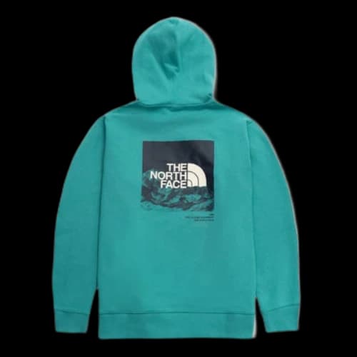 THE NORTH FACE SS22 Logo Hoodie 'Teal'