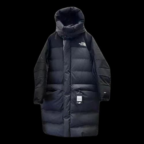 THE NORTH FACE FW22 Logo Hooded Puffer Coat 'Black'