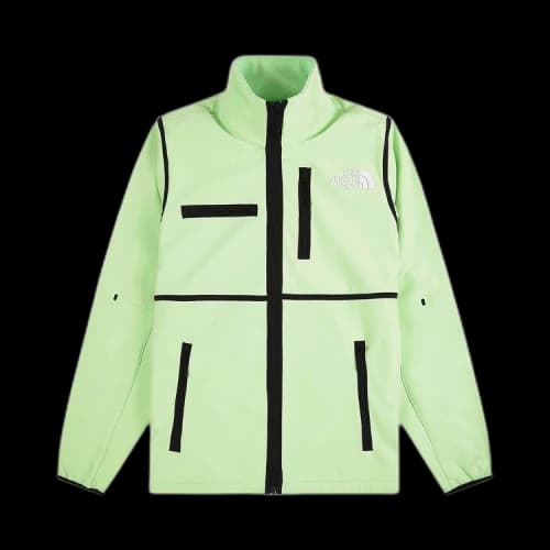 The North Face Denali Jacket 'Patina Green'