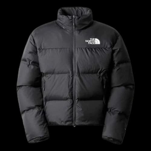 THE NORTH FACE Puffer Jacket 'Black'