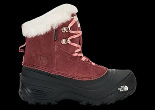 The North Face Shellista V Lace WP Canyon Dust (GS)