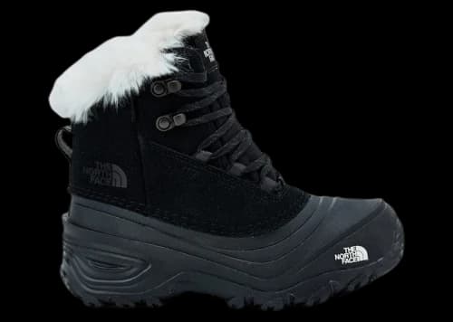 The North Face Shellista V Lace WP Black (GS)