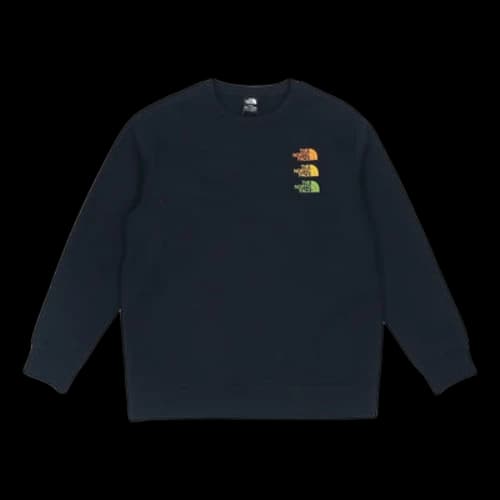 THE NORTH FACE Logo Grpahic Sweater 'Black'
