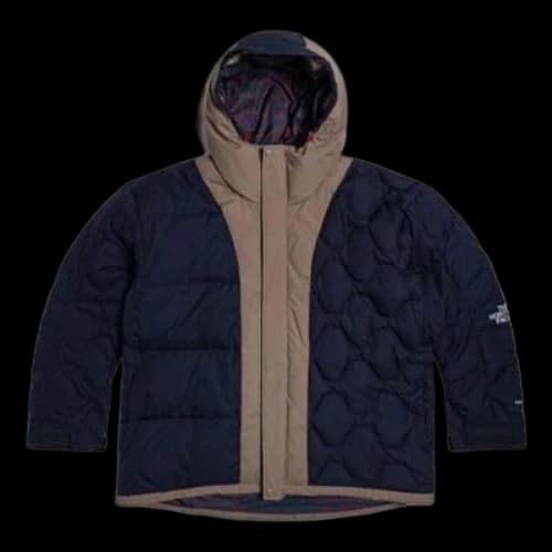 THE NORTH FACE Urban Exploration Down Jacket 'Brown'