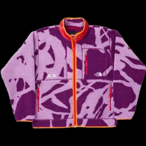 THE NORTH FACE X Kaws Fleece Jacket 'Purple'