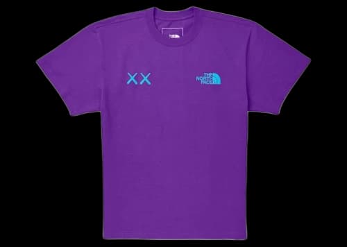 KAWS x The North Face Tee Gravity Purple