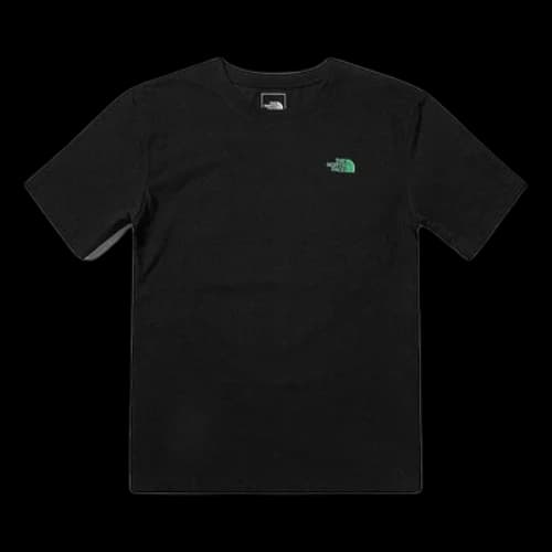THE NORTH FACE Logo Graphic T-Shirt 'Black'