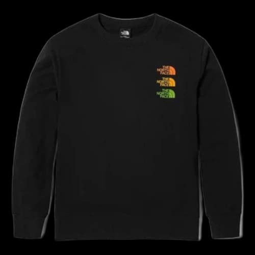 THE NORTH FACE Logo Sweater 'Black'