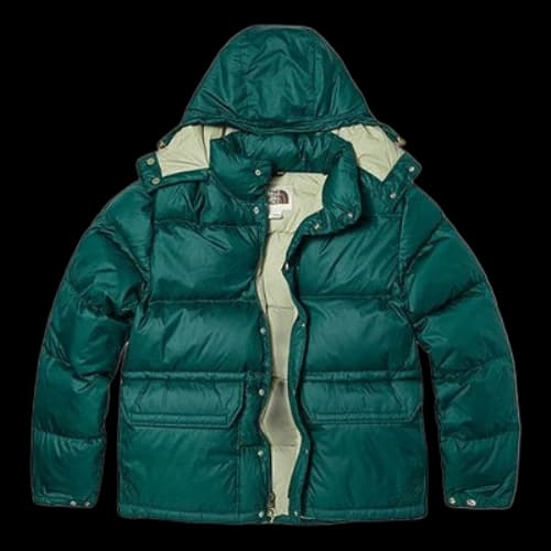 THE NORTH FACE Nuptse Jacket
