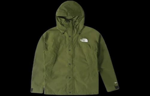 THE NORTH FACE Gore-Tex Mountain Jacket 'Forest Olive'