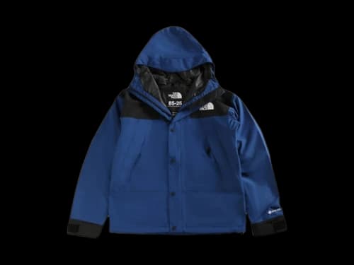 The North Face GTX Mountain Jacket Blue/Tnfblack