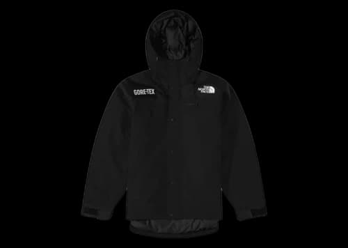 The North Face Gore-Tex Mountain Jacket TNF Black