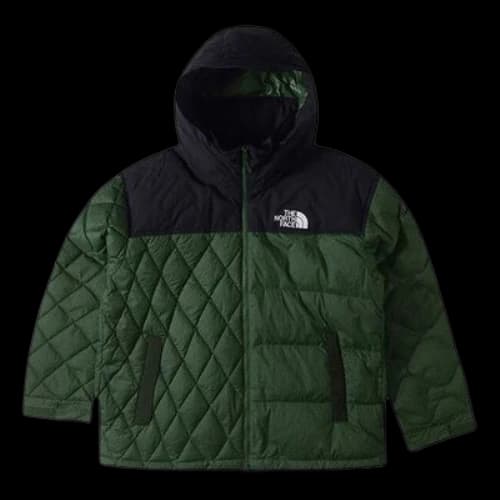THE NORTH FACE Hooded Full Zip Puffer Jacket 'Green'