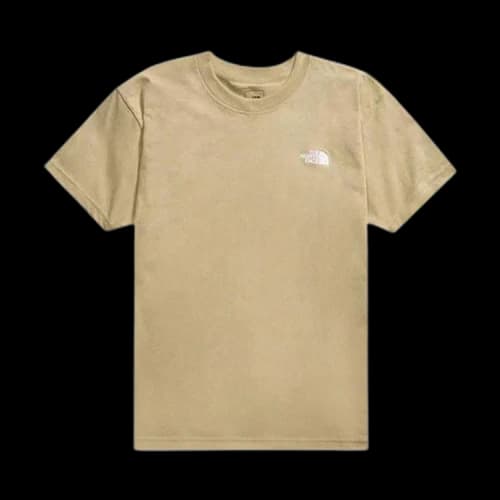 The North Face Evolution T-Shirt 'Khaki Stone'