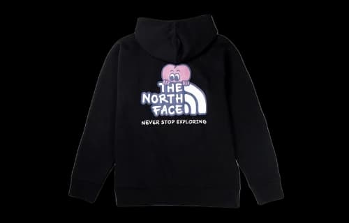 THE NORTH FACE Graphic Hoodie 'Black'