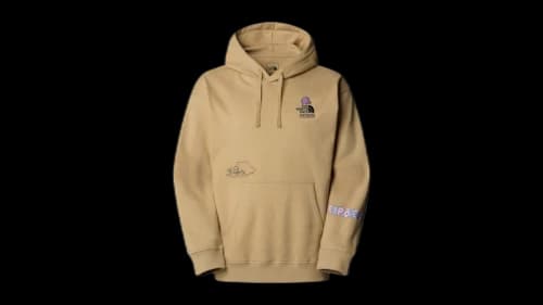 The North Face Mountain Cleanup Over Hoodie Hoodie Khaki Stone