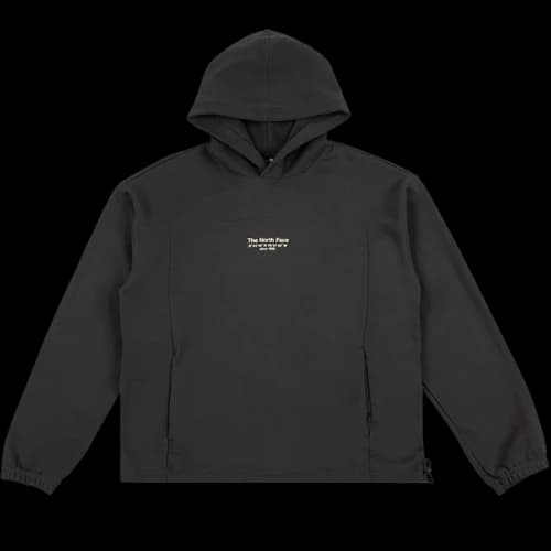 The North Face Places We Love Hoodie Aconcagua 'Anthracite Grey'