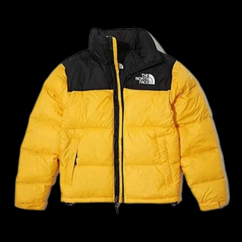 THE NORTH FACE 1996 Retro Nuptse Down Jacket