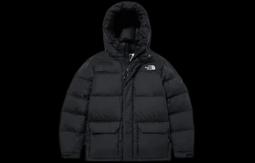 THE NORTH FACE Hooded Down Praka Jacket 'Black'