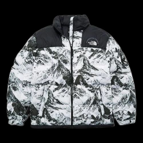 THE NORTH FACE Winter Custom Printed Jacket 'White'