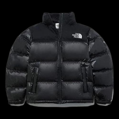 THE NORTH FACE Novelty Nuptse Jacket