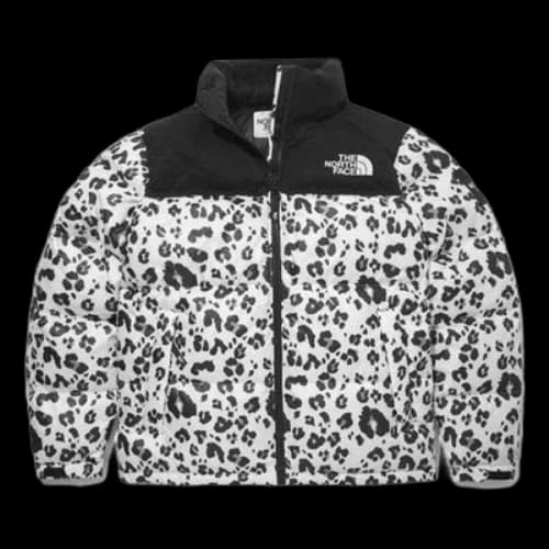 THE NORTH FACE Novelty Nuptse