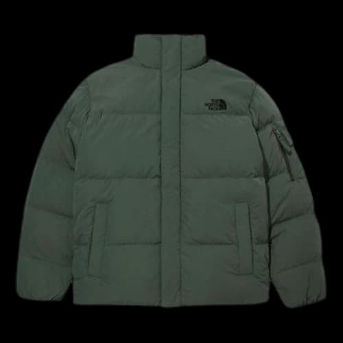 THE NORTH FACE Logo Down Jacket 'Green'