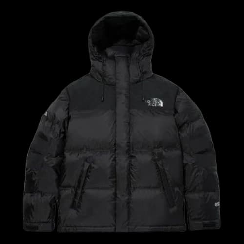 THE NORTH FACE Hmlym Down Parka Jacket 'Black'