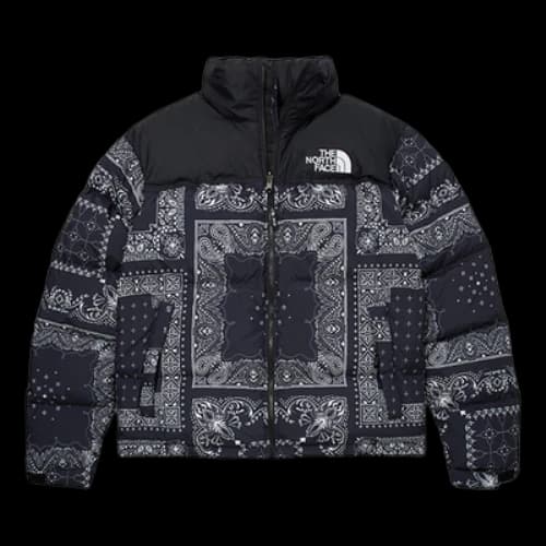THE NORTH FACE 1996 Noobsy Nuptse Jacket