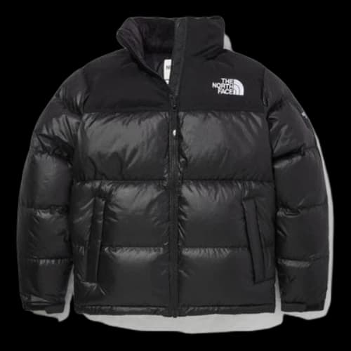 THE NORTH FACE Mens NOVELTY NUPTSE DOWN Jacket BLACK ASIAN FIT