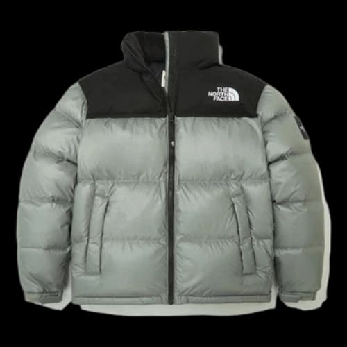 THE NORTH FACE FW22 Novelty Nuptse Down Jacket
