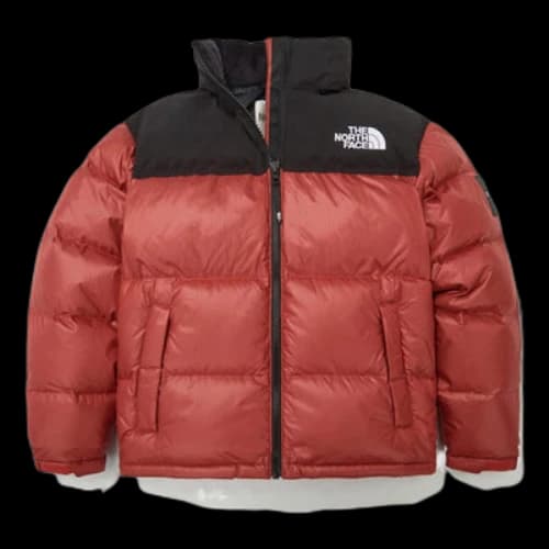 THE NORTH FACE FW22 Novelty Nuptse Down Jacket