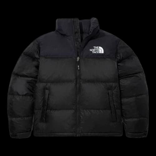 The North Face 1996 Eco Nuptse Jacket Asia Sizing 'Black'