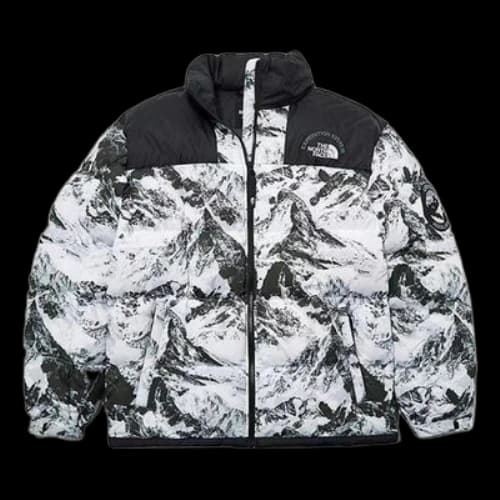 THE NORTH FACE FW22 DOWN Jacket