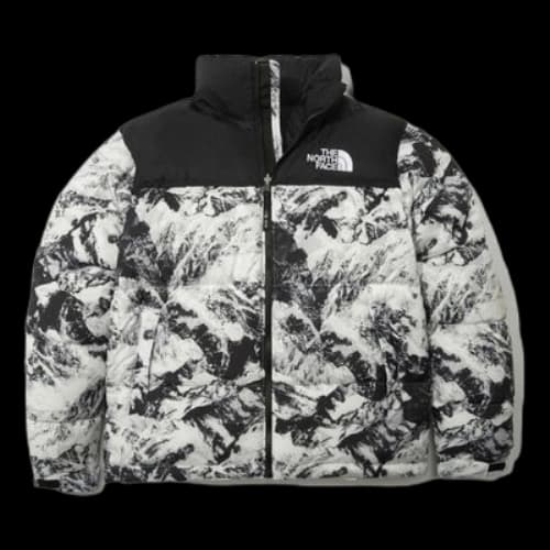 THE NORTH FACE 1996 Novelty Nuptse Jacket 'White'