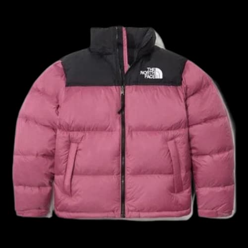 THE NORTH FACE FW22 MS 1996 RETRO NUPTSE Jacket