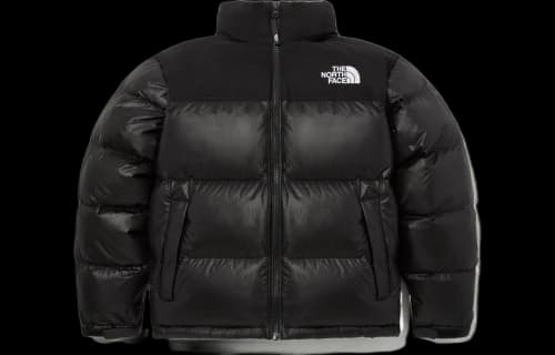 The North Face White Label Novelty Nuptse Down Jacket Asia Sizing 'Black'