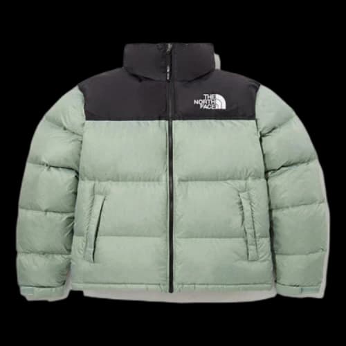 The North Face 1996 Eco Nuptse Jacket Asia Sizing 'Tea'