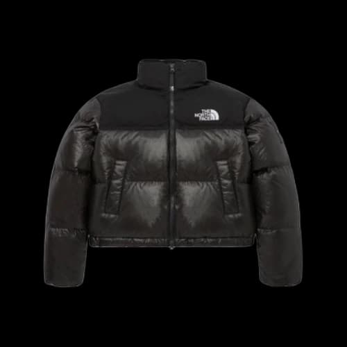 The North Face White Label Novelty Nuptse Down Jacket Asia Sizing 'Black' (Women's)